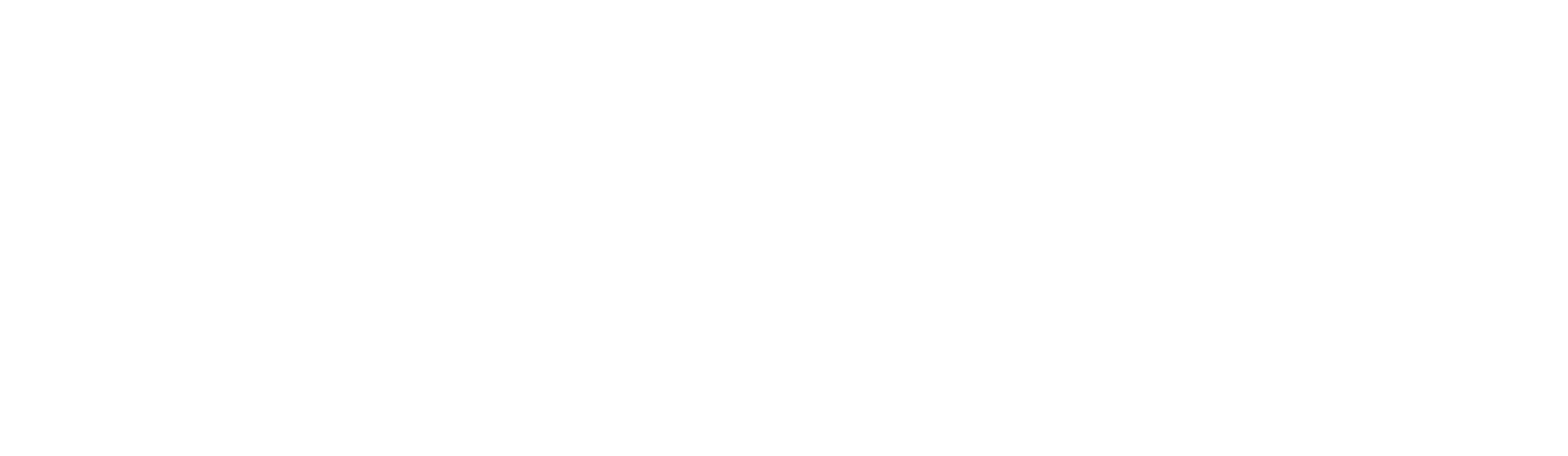 Tu Partido